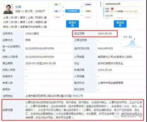 商標注冊成功背后的創業困境 軟件開發公司的興衰啟示錄